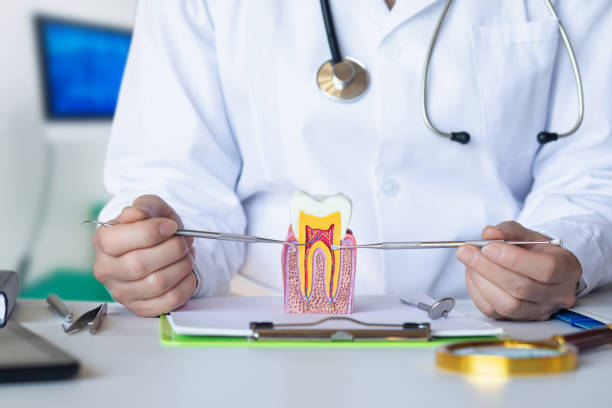 Best Emergency Tooth Extraction in Andover, MN